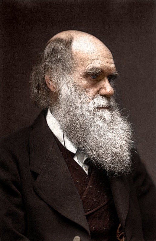 انتشار نظریه تکامل چارلز داروین 